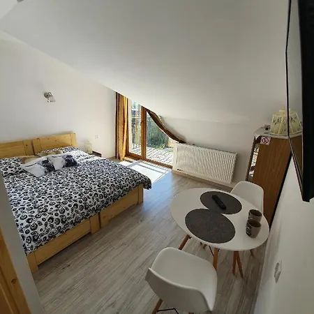 Guest house Podhalanskie Zacisze Zakopane